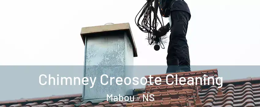  Chimney Creosote Cleaning Mabou - NS