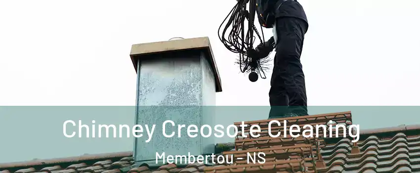 Chimney Creosote Cleaning Membertou - NS