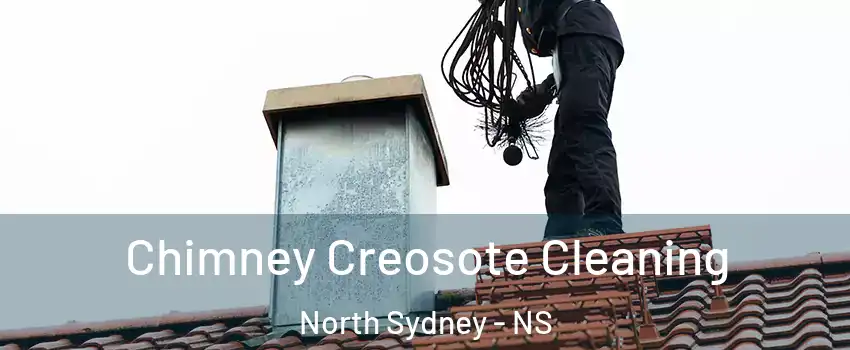  Chimney Creosote Cleaning North Sydney - NS