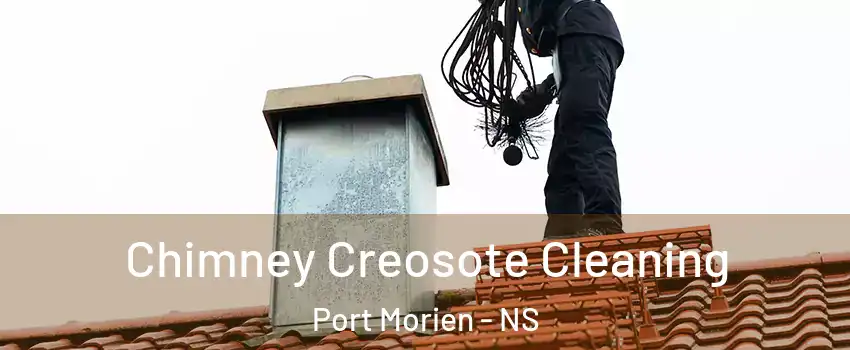  Chimney Creosote Cleaning Port Morien - NS