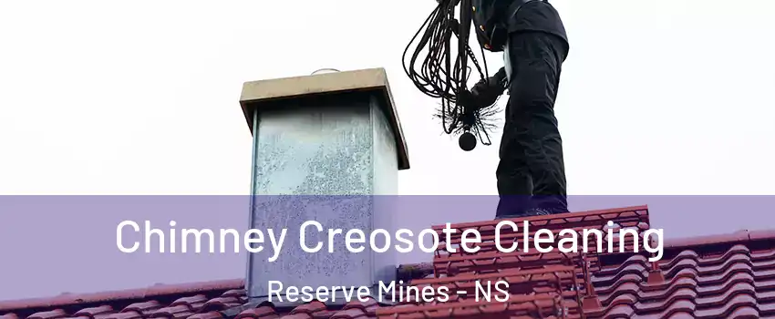  Chimney Creosote Cleaning Reserve Mines - NS