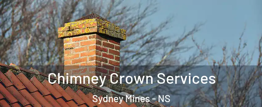  Chimney Crown Services Sydney Mines - NS