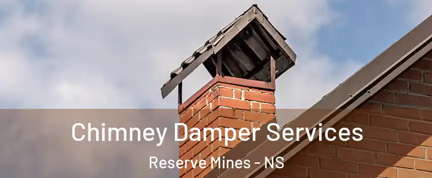  Chimney Damper Services Reserve Mines - NS