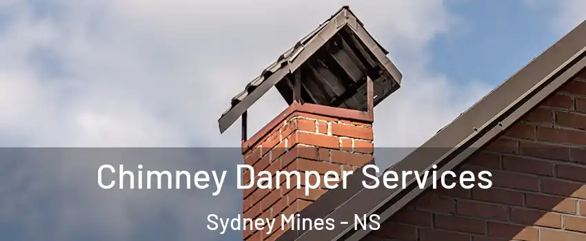  Chimney Damper Services Sydney Mines - NS