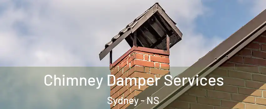  Chimney Damper Services Sydney - NS