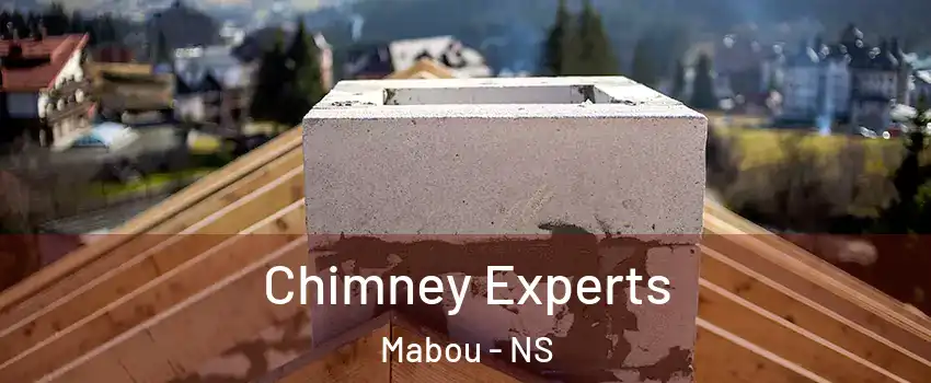 Chimney Experts Mabou - NS