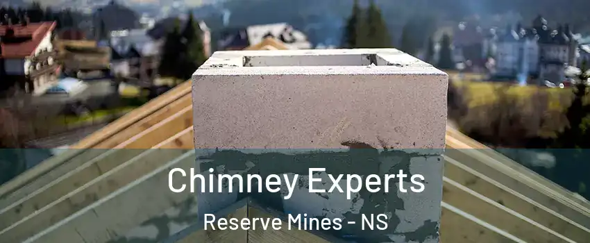 Chimney Experts Reserve Mines - NS
