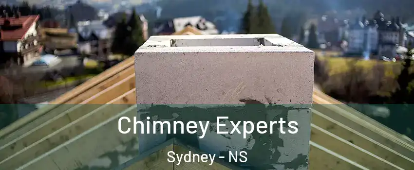 Chimney Experts Sydney - NS