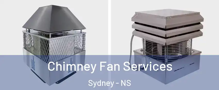  Chimney Fan Services Sydney - NS