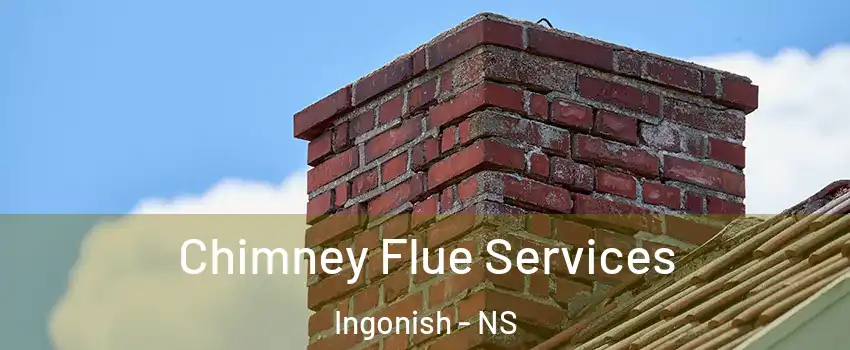  Chimney Flue Services Ingonish - NS