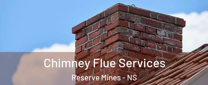  Chimney Flue Services Reserve Mines - NS