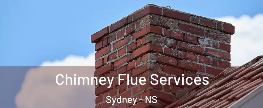  Chimney Flue Services Sydney - NS