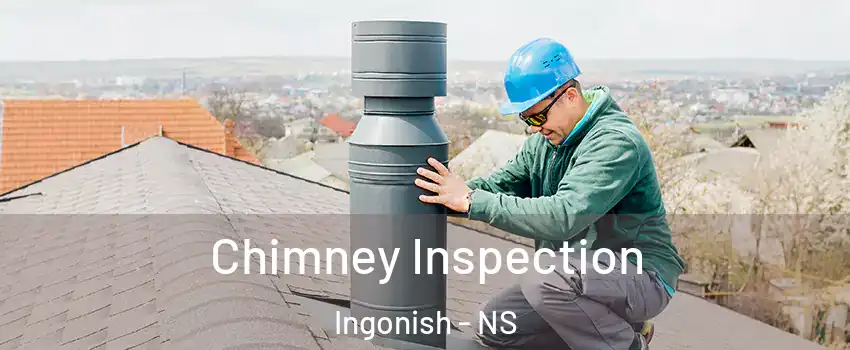  Chimney Inspection Ingonish - NS