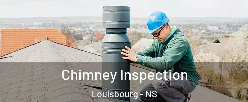  Chimney Inspection Louisbourg - NS