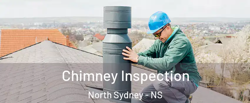  Chimney Inspection North Sydney - NS