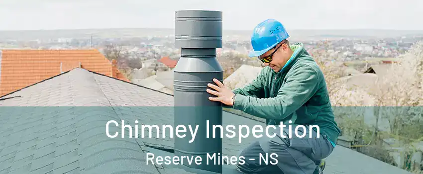  Chimney Inspection Reserve Mines - NS