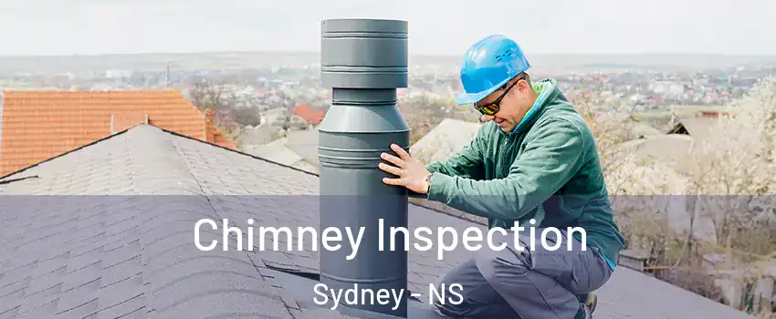  Chimney Inspection Sydney - NS
