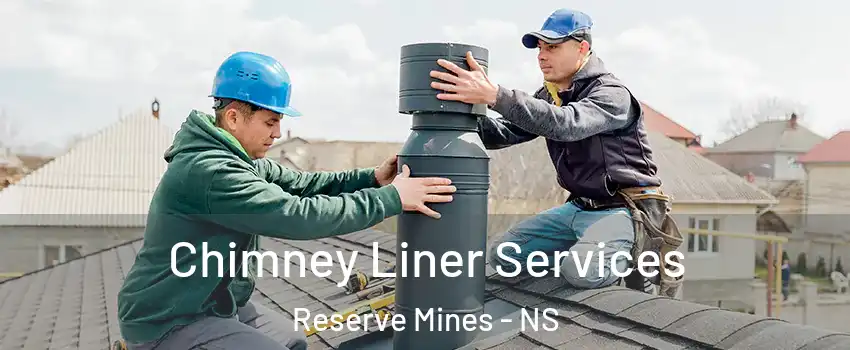  Chimney Liner Services Reserve Mines - NS