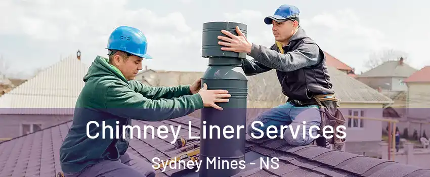  Chimney Liner Services Sydney Mines - NS
