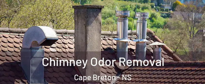  Chimney Odor Removal Cape Breton - NS