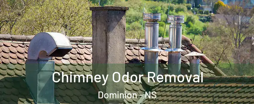  Chimney Odor Removal Dominion - NS