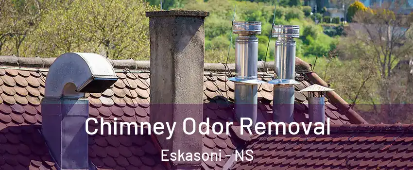  Chimney Odor Removal Eskasoni - NS