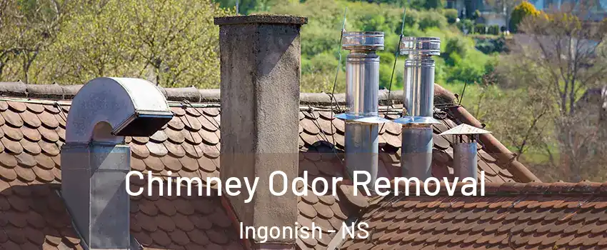  Chimney Odor Removal Ingonish - NS