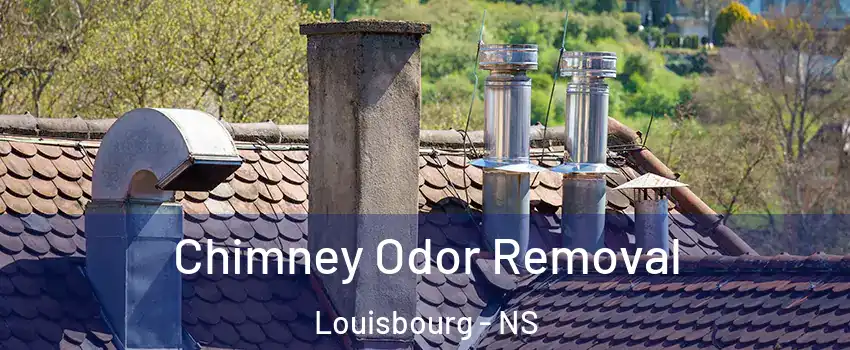  Chimney Odor Removal Louisbourg - NS