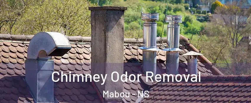  Chimney Odor Removal Mabou - NS
