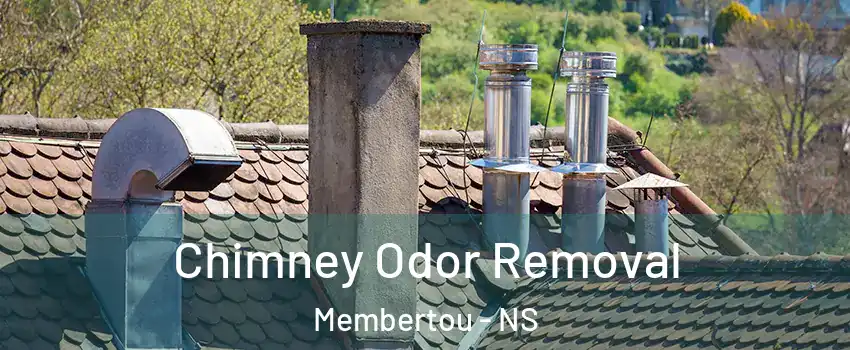  Chimney Odor Removal Membertou - NS
