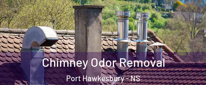  Chimney Odor Removal Port Hawkesbury - NS