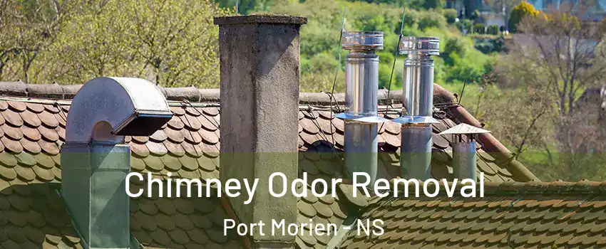  Chimney Odor Removal Port Morien - NS