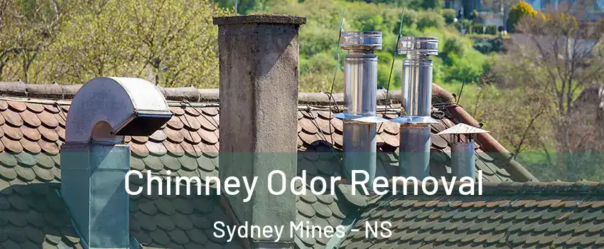  Chimney Odor Removal Sydney Mines - NS