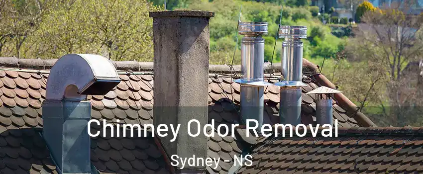  Chimney Odor Removal Sydney - NS