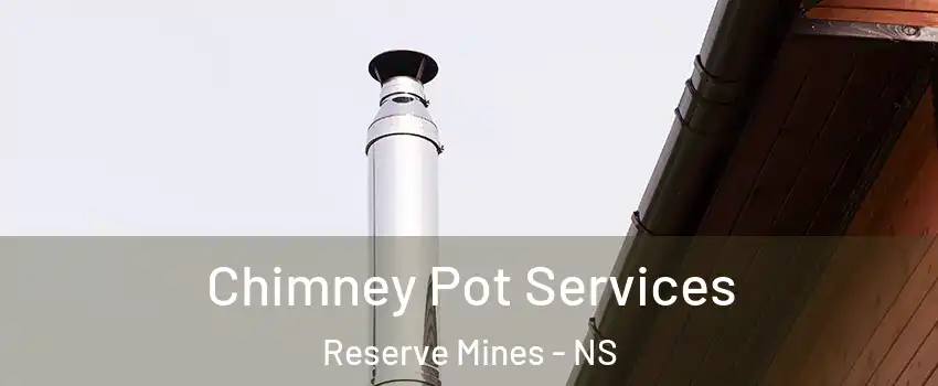  Chimney Pot Services Reserve Mines - NS