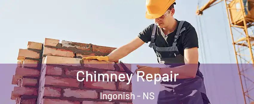  Chimney Repair Ingonish - NS