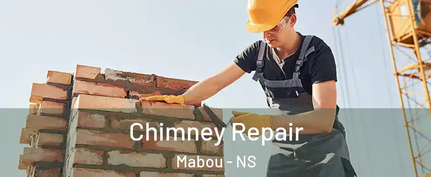  Chimney Repair Mabou - NS