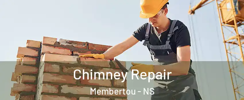  Chimney Repair Membertou - NS
