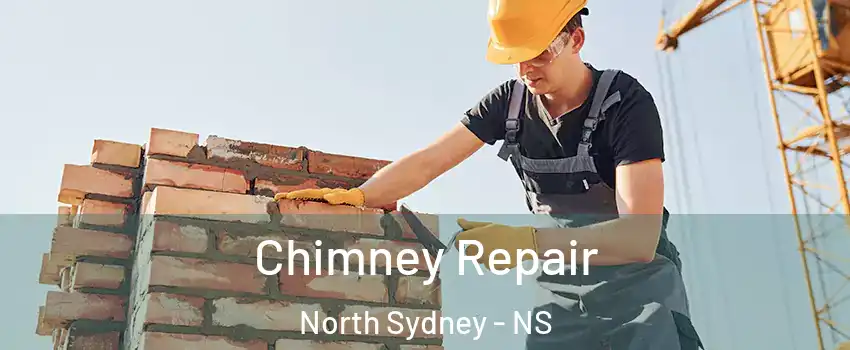  Chimney Repair North Sydney - NS
