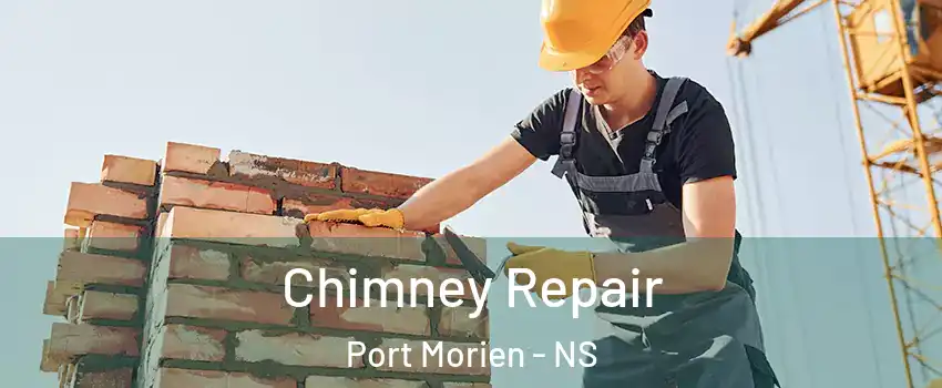  Chimney Repair Port Morien - NS