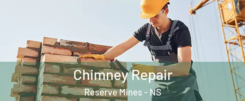  Chimney Repair Reserve Mines - NS