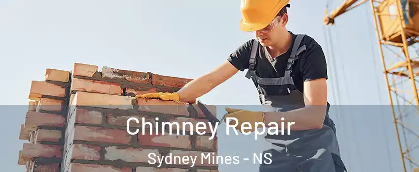  Chimney Repair Sydney Mines - NS