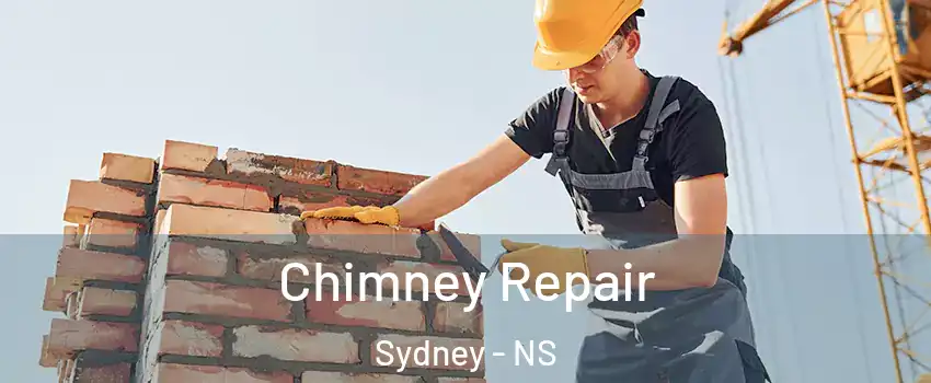  Chimney Repair Sydney - NS