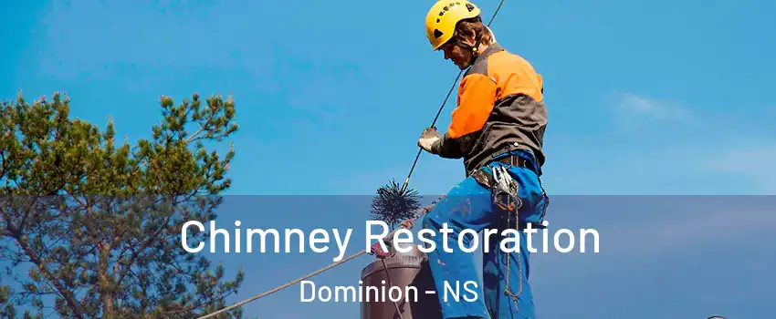 Chimney Restoration Dominion - NS