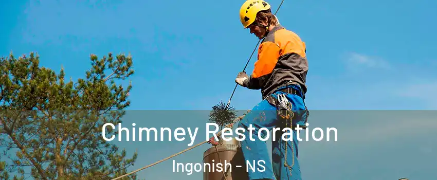 Chimney Restoration Ingonish - NS