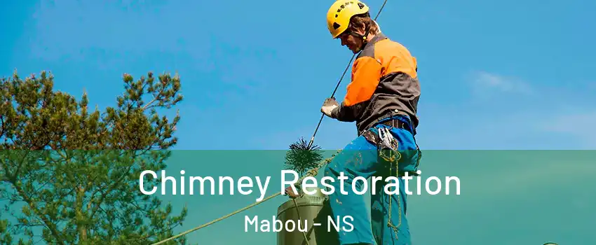  Chimney Restoration Mabou - NS