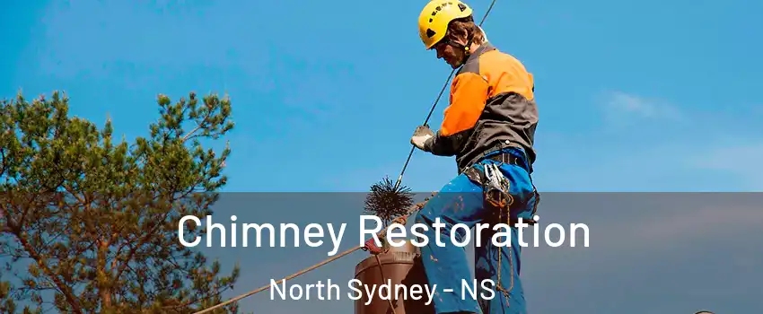  Chimney Restoration North Sydney - NS