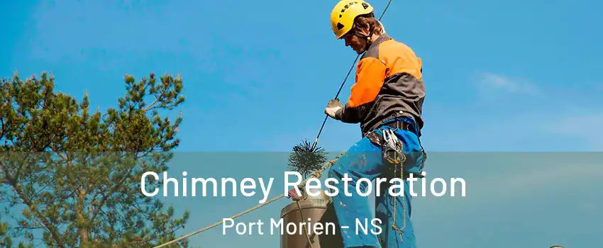  Chimney Restoration Port Morien - NS
