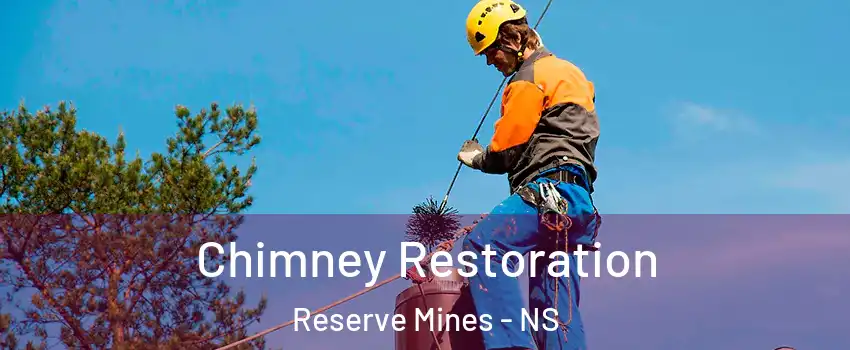  Chimney Restoration Reserve Mines - NS