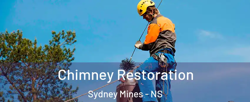  Chimney Restoration Sydney Mines - NS